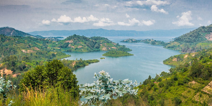 6 Day Safari To Nyungwe Forest Lake Kivu Volcanoes National Park 